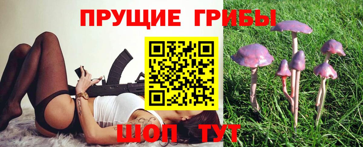 Шахты  Псилоцибиновые грибы Psilocybine cubensis  Псилоцибиновые грибы ЛСД  Вход с VPN 