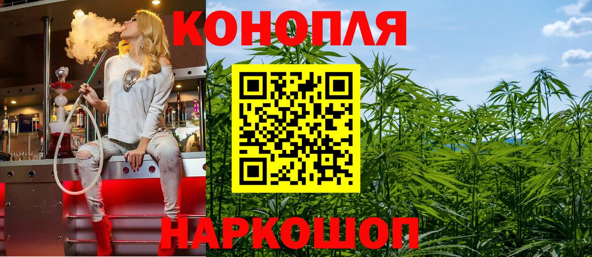 Бошки Шишки гибрид Шахты